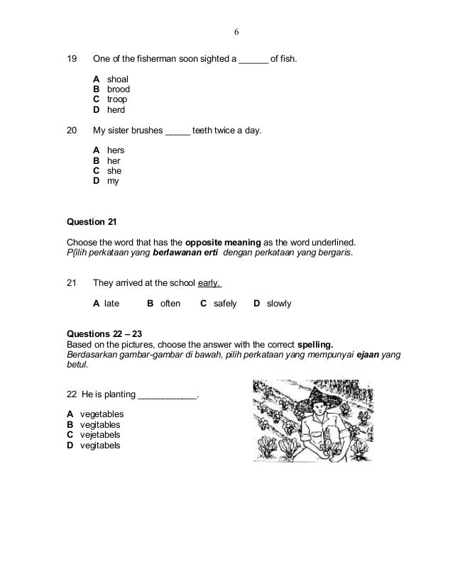 91888812 english-year-5-paper-1