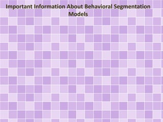 Important Information About Behavioral Segmentation
Models
 