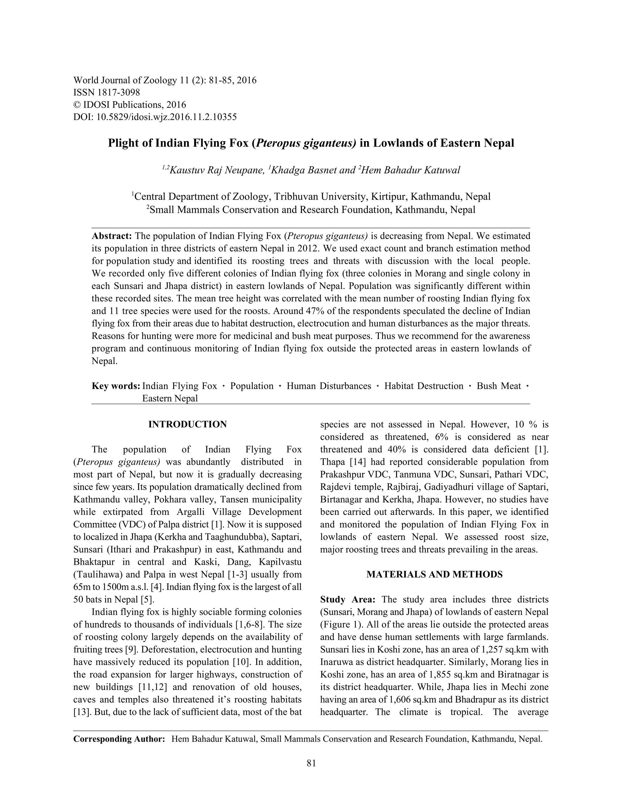 Plight of Indian Flying Fox | PDF