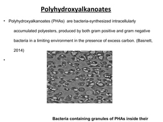 Polyhydroxyalkanoates
• Polyhydroxyalkanoates (PHAs) are bacteria-synthesized intracellularly
accumulated polyesters, produced by both gram positive and gram negative
bacteria in a limiting environment in the presence of excess carbon. (Basnett,
2014)
•
Bacteria containing granules of PHAs inside their
 