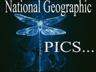 National Geographic PICS... 