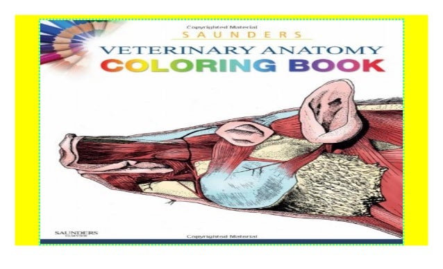 Download Saunders Veterinary Anatomy Coloring Book 1e Download