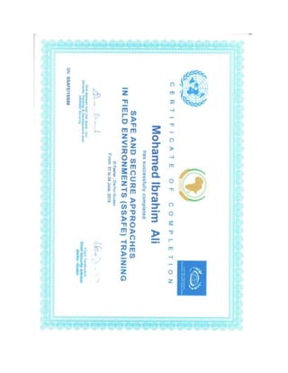 ssafe certificate