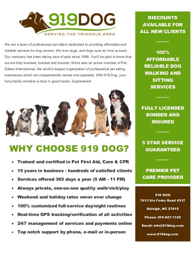 Professional dog walkers and pet sitters 919 Dog [Raleigh, NC]