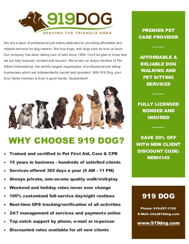 919Dog.com -- Local dog walking & pet sitting services in 