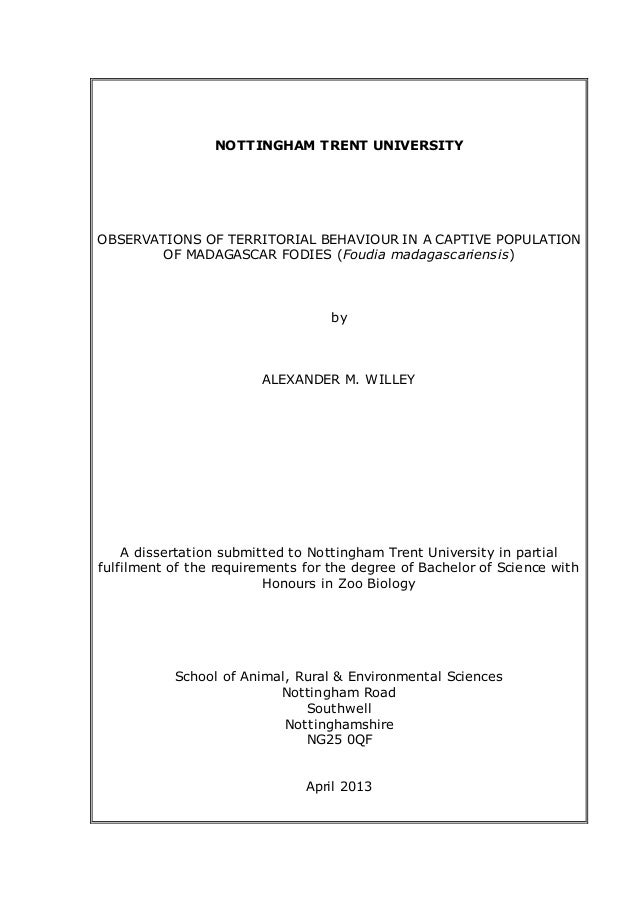 sample essay sport for colleges