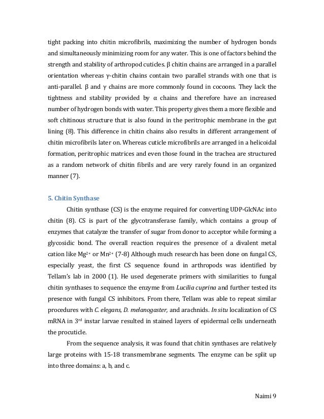 Farida leek masters thesis 06 picture