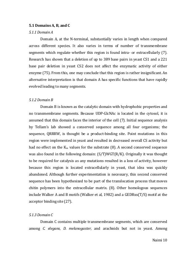 Farida leek masters thesis image