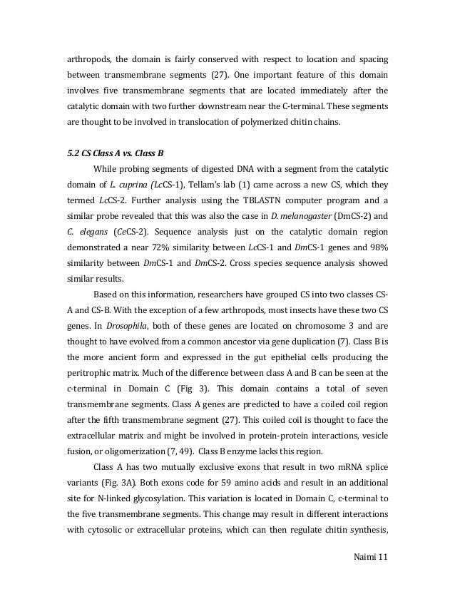 Phd dissertation picture