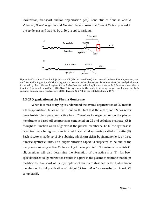 Research & Essay: Farida leek master's thesis assignments to professionals! farida leek masters thesis