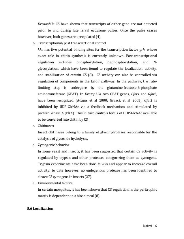 Farida leek masters thesis 05 picture