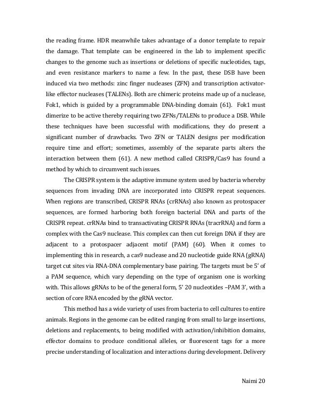 Farida leek masters thesis 08 image