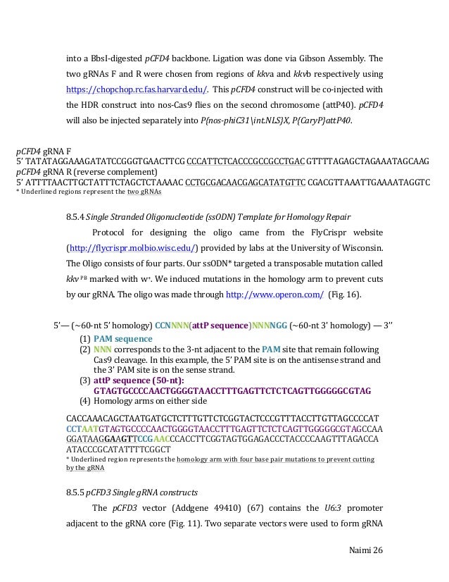 Dissertation meaning image