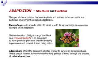 Biological Diversity | PPT