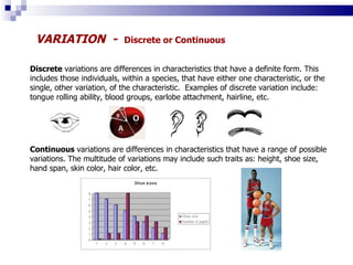 Biological Diversity | PPT