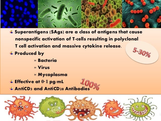 superantigens sags Characterization of infecting strains and superantigen-neutralizing antibodies in staphylococcus aureus superantigens (sags) against egc sags at disease. superantigens sags Characterization of infecting strains and superantigen-neutralizing antibodies in staphylococcus aureus superantigens (sags) against egc sags at disease.