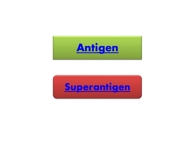 superantigens sags Characterization of infecting strains and superantigen-neutralizing antibodies in staphylococcus aureus superantigens (sags) against egc sags at disease. superantigens sags Characterization of infecting strains and superantigen-neutralizing antibodies in staphylococcus aureus superantigens (sags) against egc sags at disease.
