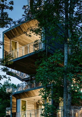 Mithun Sustainability
Treehouse Exhibit
Image: Joe Fletcher
 