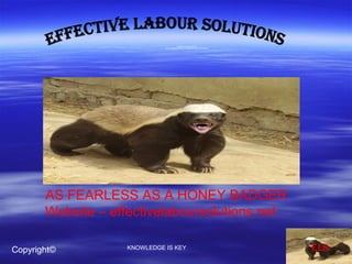     
Registration No. 2015/167621/07
Tax No: 9418009180 & Clearance Certificate No. 0088/2/2015/0007765740
  
ELS
     
  AS FEARLESS AS A HONEY BADGER
Website – effectivelaboursolutions.net 
Copyright© KNOWLEDGE IS KEY
 