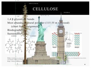 - 1,4 β glycosidic bonds
- Most abundant natural polymer (115.55 m redwood)
(chart from assignment 2)
- Biodegradable
- Sustainable*
- http:// pubs.r s c .or g/ s er vi c e s/ i ma ge s/ RS Cp ub s. eP l a t fo r m. S er vi c e. Fr e e Co nt e nt .I ma g eS er vi c e. s vc /I ma g eS e r vi c e / Ar ti
cleima ge/ 2006 /C S/b6 01872 f/b 601872 f - f2 . gi f
- http:// ww w. r is h. kyo to - u. a c.j p/ W / LB M I/ r e s e ar c h/I a ib_ S.j p g
CELLULOSE
4
 