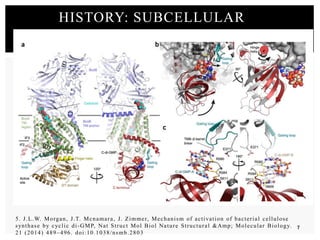 5. J.L.W. Morgan, J.T. Mcnamara, J. Zimmer, Mechanism of activation of bacterial cellulose
synthase by cyclic di-GMP, Nat Struct Mol Biol Nature Structural &Amp; Molecular Biology.
21 (2014) 489–496. doi:10.1038/nsmb.2803
HISTORY: SUBCELLULAR
7
 