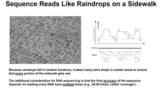 Because raindrops fall in random locations, it takes many extra drops in certain areas to ensure
that every portion of the sidewalk gets wet.
The additional consideration for DNA sequencing is that the final accuracy of the sequence
depends on reading every DNA base multiple times (e.g., 30-50 times; called ‘coverage’).
Sequence Reads Like Raindrops on a Sidewalk
 