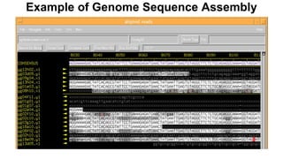 Example of Genome Sequence Assembly
 