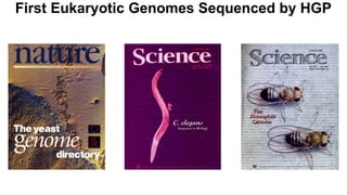 First Eukaryotic Genomes Sequenced by HGP
 