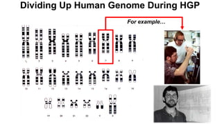 Dividing Up Human Genome During HGP
For example…
 