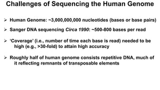 Challenges of Sequencing the Human Genome
 Human Genome: ~3,000,000,000 nucleotides (bases or base pairs)
 Sanger DNA sequencing Circa 1990: ~500-800 bases per read
 ‘Coverage’ (i.e., number of time each base is read) needed to be
high (e.g., >30-fold) to attain high accuracy
 Roughly half of human genome consists repetitive DNA, much of
it reflecting remnants of transposable elements
 