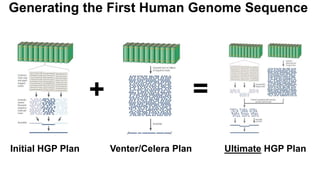 Initial HGP Plan Venter/Celera Plan Ultimate HGP Plan
+ =
Generating the First Human Genome Sequence
 