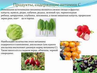 Продукты, содержащие витамин С
Основными источниками витамина являются свежие овощи и фрукты:
капуста, щавель, редис, кабачки, редька, зеленый лук, черноплодная
рябина, цитрусовые, клубника, земляника, а также квашеная капуста, проросшие
зерна ржи, пшеницы и гороха.




Наибольшее количество этого витамина
содержится в шиповнике, апельсинах (сок одного
апельсина восполняет дневную норму витамина С).
Также много его в сладком перце, облепихе, черной
смородине.
 