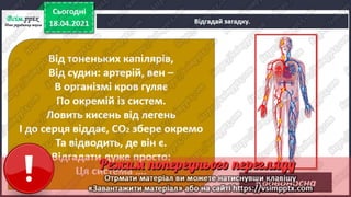 3 клас. НУШ. Я досліджую світ. Грущинська. Урок 92