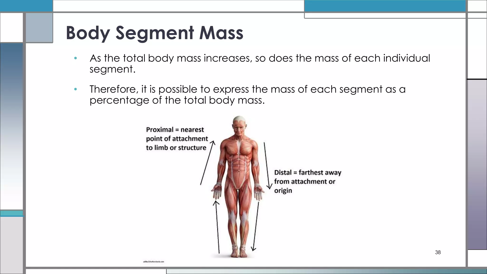#9_2-Anthropometry in Occupational Biomechanics.pdf