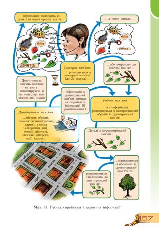 157
інформація надходить із
довкілля через органи чуттів...
Сенсорна пам’ять
...і розміщується в
сенсорній пам’яті
(до 20 секунд)...
...а потім зникає...
Робоча пам’ять
...тут інформація
розпізнається з використанням
образів із довготривалої
пам’яті
Довготривала пам’ять
...містить образи,
знання (концептуальні
карти), уміння
(алгоритми дій),
емоції, цінності,
спогади, інтереси,
мрії, ідеали...
     
Ìàë. 53. Процес сприйняття і засвоєння інформації
образи
знання
ум
іння
емоції
цінності
спогади
інтереси
мрії
ідеали
...або потрапляє до
робочої пам’яті...
Інформація з
довготривалої
пам’яті впливає
на сприйняття
інформації (її
розпізнавання)
Довготривала
пам’ять впливає
на увагу,
концентруючи її
на тому, що нам
відомо або цікаво
Деталі з короткотривалої
пам’яті...
розпізнаються
і надходять до
довготривалої
пам’яті...
...порівнюються
з образами із
довготривалої
пам’яті та...
ніс
шкіру
очі
вуха
рот
 