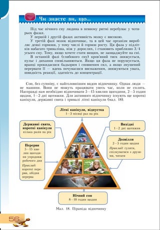56
Сон, без сумніву, є найголовнішим видом відпочинку.  Однак люди
 
—
не машини.  Вони не можуть працювати увесь час, коли не сплять.
Насправді нам необхідно відпочивати 5—15 хвилин щогодини, 2—5 годин
щодня, 1—2 дні щотижня.  Для активного відпочинку існують ще короткі
канікули, державні свята і тривалі літні канікули (мал. 18).
Ìàë. 18. Піраміда відпочинку
Перерви
5—15 хви-
лин щогоди-
ни упродовж
робочого дня
Приклад:
короткі пере-
рви, обідня
перерва
Вихідні
1—2 дні щотижня
Державні свята,
короткі канікули
кілька разів на рік
Літні канікули, відпустка
1—3 місяці раз на рік
Дозвілля
2—5 годин щодня
Приклад: гуляти,
спілкуватися з друзя-
ми, читати
Нічний сон
8—10 годин щодня
×è çíàºте вè, ùî...
Під час нічного сну людина в певному ритмі перебуває у чоти-
рьох фазах.
У першій і другій фазах активність мозку є високою.
У третій фазі мозок відпочиває, та в цей час організм вироб­
ляє деякі гормони, у тому числі й гормон росту. Ця фаза у підліт-
ків набагато триваліша, ніж у дорослих, і становить приблизно 3/4
усього сну. Тому, якщо хочете стати вищим, не заощаджуйте на сні.
В  останній фазі (глибокого сну) кров’яний тиск знижується,
пульс і дихання сповільнюються.  Якщо ця фаза не порушується,
вранці прокидаєшся бадьорим і сповненим сил, а якщо змушений
перервати її — вдень почуваєшся виснаженим, знижуються увага,
швидкість реакції, здатність до концентрації.
 