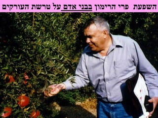 ‫הרימון‬ ‫פרי‬ ‫השפעת‬‫אדם‬ ‫בבני‬‫העורקים‬ ‫טרשת‬ ‫על‬
 