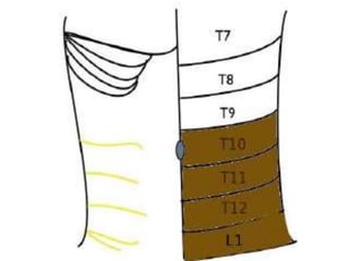 Tap Block Types Ultrasound Guided Transversus Abdominis Plane (TAP) Block | PPTX