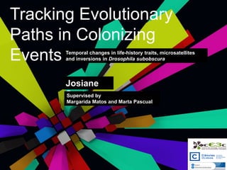 Tracking Evolutionary
Paths in Colonizing
Events Temporal changes in life-history traits, microsatellites
and inversions in Drosophila subobscura
Josiane
SantosSupervised by
Margarida Matos and Marta Pascual
 