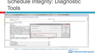 Professionalengineer
Schedule Integrity: Diagnostic
Tools
10
 