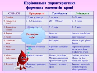 ОЗНАКИ Еритроцити Тромбоцити Лейкоцити
1. Розміри 7,5 мкм у діаметрі 2 – 4 мкм 7 – 20 мкм
2. Кількість в
1 мм3
5 - 5,5 мільйонів 250 – 400 тисяч 6 – 8 тисяч
3. Тривалість
життя
120 днів або ≈ 4
місяці
5 – 7 днів 3 – 5 днів
4. Форма Двоввігнутий диск Округла Нестала амебоїдна
5. Колір Червоного кольору Безбарвні Білого кольору
6. Наявність
ядра
Без'ядерні Без'ядерні Мають ядро різної
форми
7. Місце
утворення
Червоний кістковий
мозок
Червоний кістковий
мозок
Червоний кістковий
мозок, селезінка,
лімфатичні вузли
8. Місце
руйнування
Печінка, селезінка Печінка, селезінка
Місця пошкодження
кровоносних судин
Печінка, селезінка
Місця, де йде
запальний процес
9. Функції Дихальна: транспорт
О2 і СО2
Захисна: зсідання
крові
Захисна: захист від
хвороботворних
мікроорганізмів
Перевірте
себе!
 