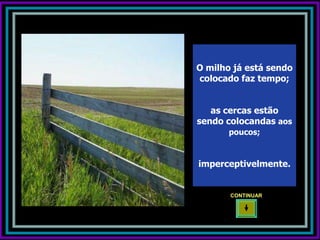 O milho já está sendo
colocado faz tempo;


   as cercas estão
sendo colocandas aos
       poucos;



imperceptivelmente.


       CONTINUAR
 