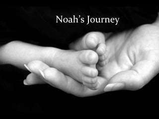 Noah’s Journey Born July 27 th , 2008 5lbs 13oz Noah’s Journey   