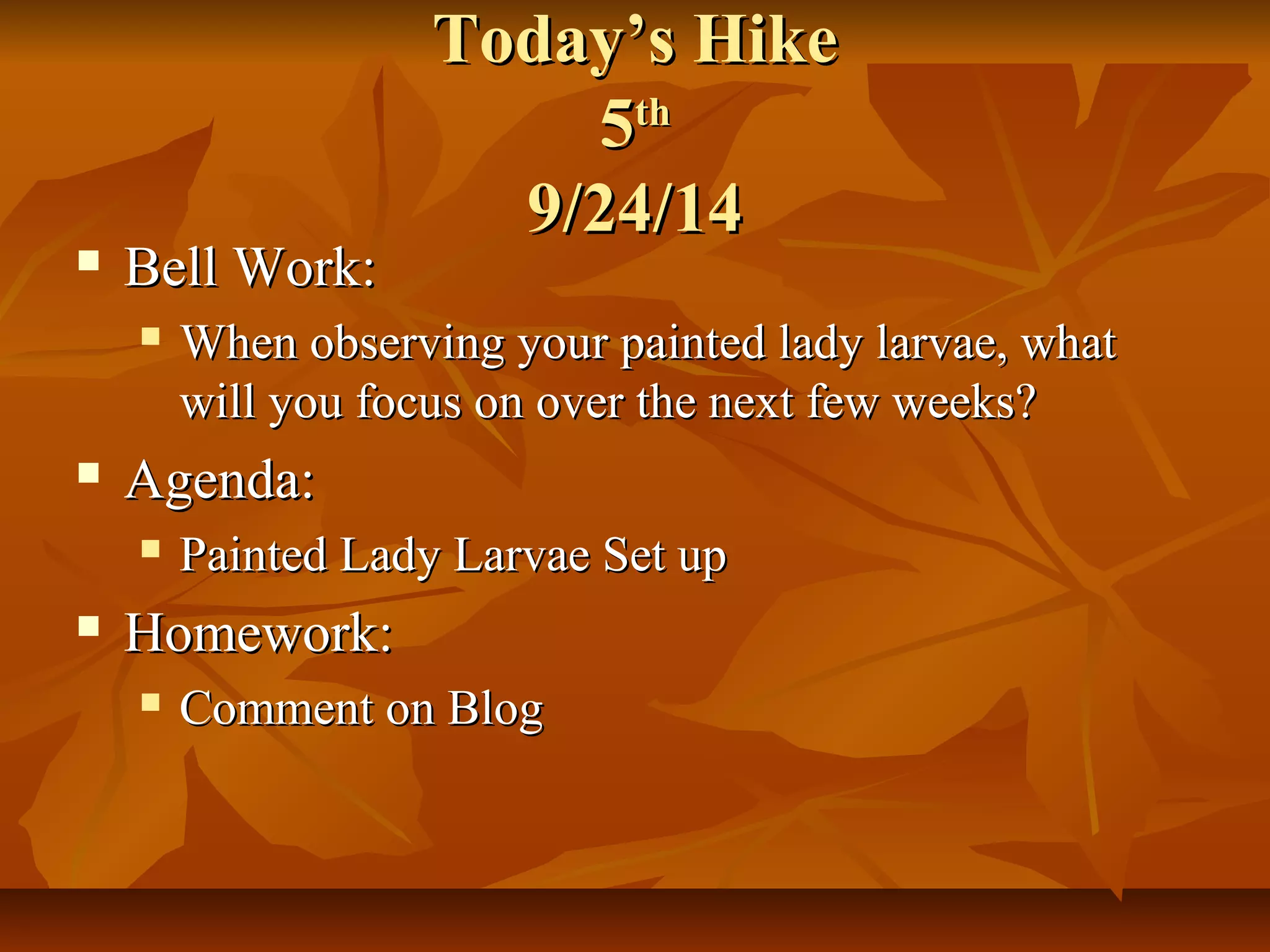 TTooddaayy’’ss HHiikkee 
55tthh 
99//2244//1144 
 BBeellll WWoorrkk:: 
 WWhheenn oobbsseerrvviinngg yyoouurr ppaaiinntteedd llaaddyy llaarrvvaaee,, wwhhaatt 
wwiillll yyoouu ffooccuuss oonn oovveerr tthhee nneexxtt ffeeww wweeeekkss?? 
 AAggeennddaa:: 
 PPaaiinntteedd LLaaddyy LLaarrvvaaee SSeett uupp 
 HHoommeewwoorrkk:: 
 CCoommmmeenntt oonn BBlloogg 
 