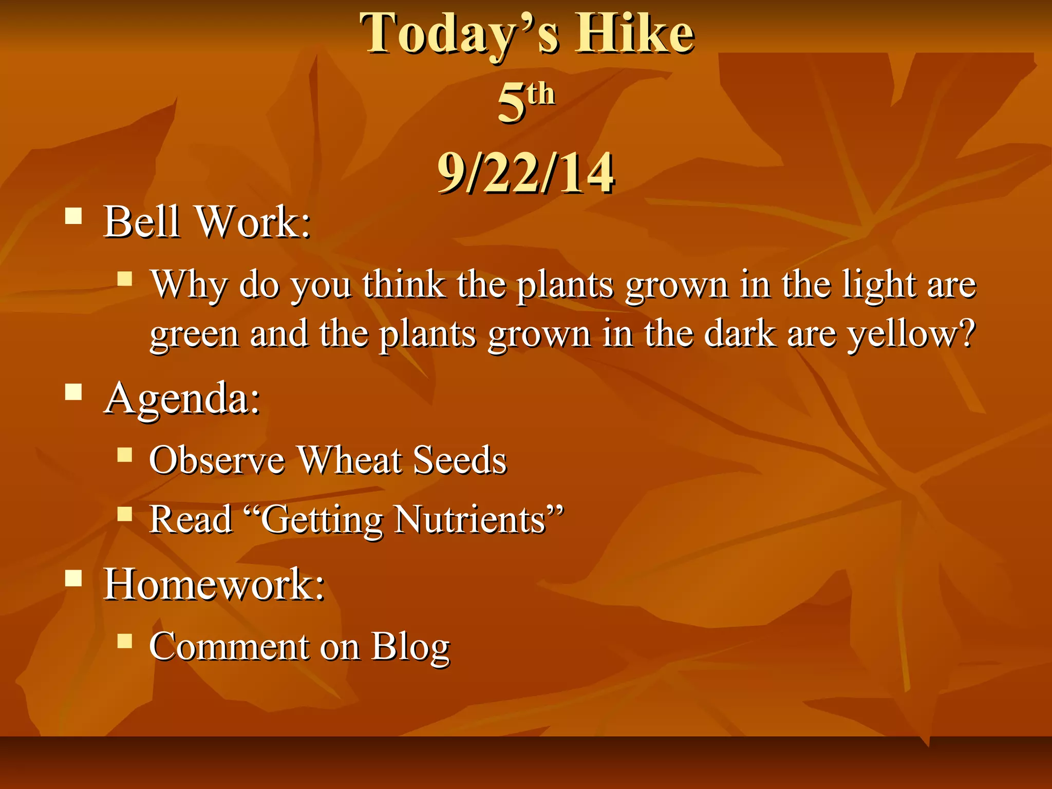 TTooddaayy’’ss HHiikkee 
55tthh 
99//2222//1144 
 BBeellll WWoorrkk:: 
 WWhhyy ddoo yyoouu tthhiinnkk tthhee ppllaannttss ggrroowwnn iinn tthhee lliigghhtt aarree 
ggrreeeenn aanndd tthhee ppllaannttss ggrroowwnn iinn tthhee ddaarrkk aarree yyeellllooww?? 
 AAggeennddaa:: 
 OObbsseerrvvee WWhheeaatt SSeeeeddss 
 RReeaadd ““GGeettttiinngg NNuuttrriieennttss”” 
 HHoommeewwoorrkk:: 
 CCoommmmeenntt oonn BBlloogg 
 