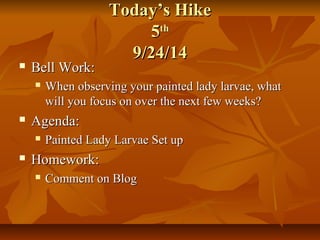 TTooddaayy’’ss HHiikkee 
55tthh 
99//2244//1144 
 BBeellll WWoorrkk:: 
 WWhheenn oobbsseerrvviinngg yyoouurr ppaaiinntteedd llaaddyy llaarrvvaaee,, wwhhaatt 
wwiillll yyoouu ffooccuuss oonn oovveerr tthhee nneexxtt ffeeww wweeeekkss?? 
 AAggeennddaa:: 
 PPaaiinntteedd LLaaddyy LLaarrvvaaee SSeett uupp 
 HHoommeewwoorrkk:: 
 CCoommmmeenntt oonn BBlloogg 
 