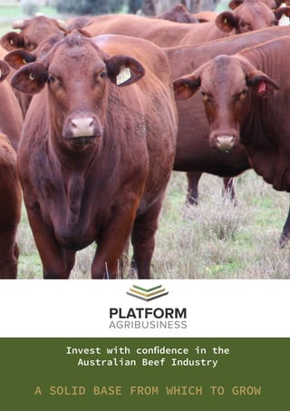 Invest with confidence in the
Australian Beef Industry
A SOLID BASE FROM WHICH TO GROW
 