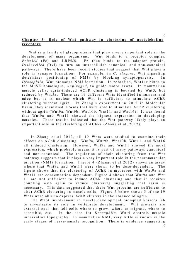 Dissertation and wnt