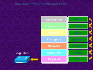 How data flows from Physical Layer
Data
Data
Data
Segment
Packet
Frame
Bits
e.g. Hub
Application
Presentation
Session
Transport
Network
Data Link
Physical
 