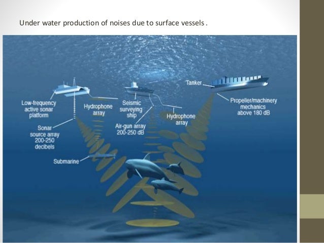 solution pollution for ocean pollution MARINE POLLUTION presentation solution pollution for ocean pollution MARINE POLLUTION presentation